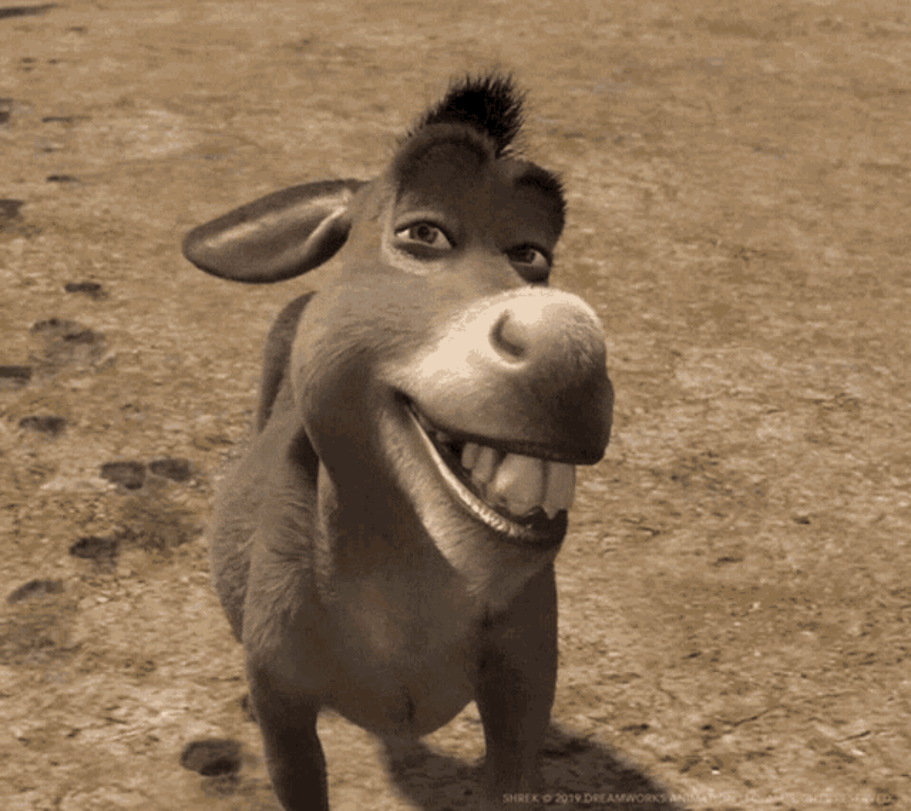 1753121047807.png