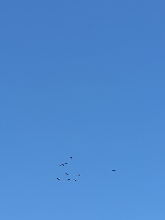 20210926_114610.jpg