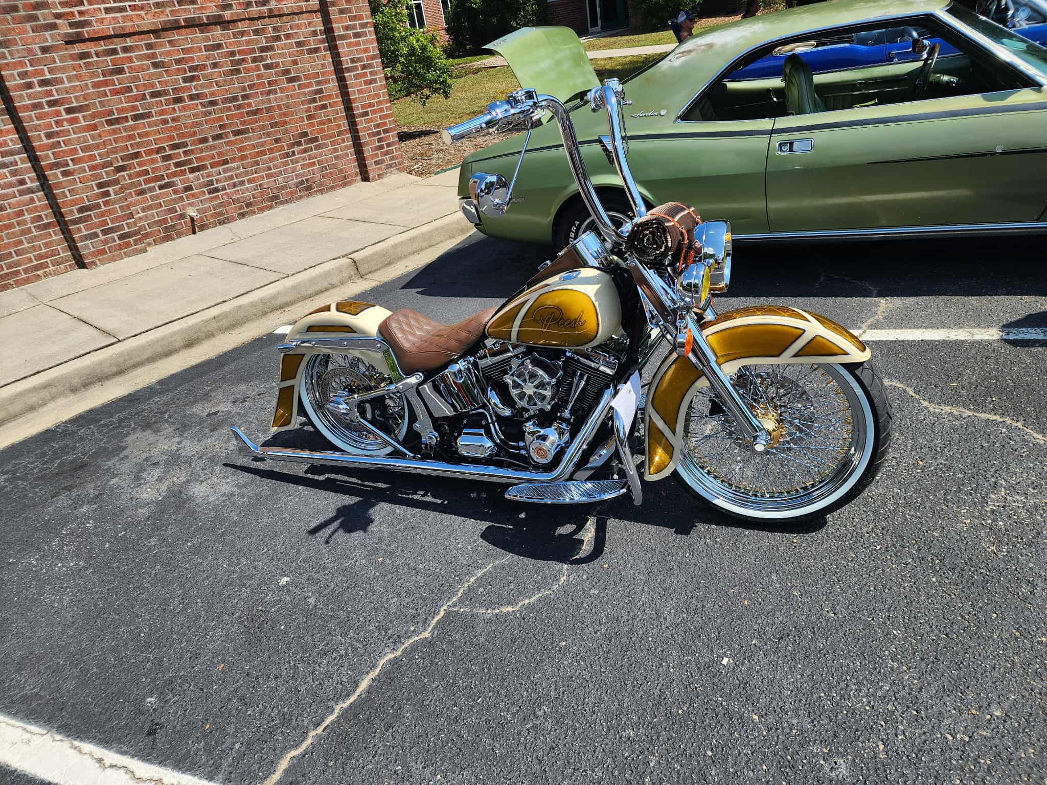23fc0e69-ed21-4973-9656-a97a4c496772.jpg