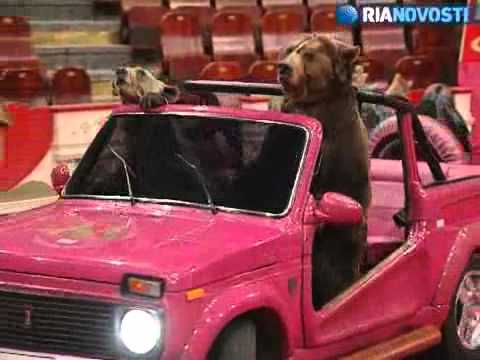 Papa Bear in a jeep.jpg