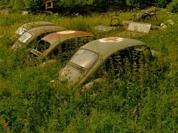 VWbeetle.jpg