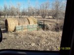 Roundup in the Creek 12-18-2009 003.jpg