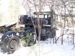 xm757 against brush 122209.jpg