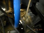 DSCN0537.jpg