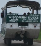 WisconsinDellsDucks.jpg