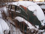 Nov. 2009 033.jpg