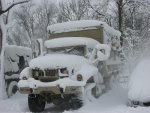 IMG_7374.jpg