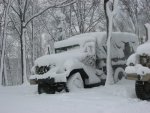 IMG_7375.jpg