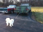 buddy and truck.jpg