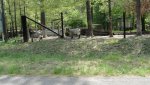 DSC00259.jpg