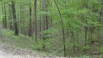 DSC00277.jpg