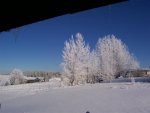 work_004_small_195.jpg