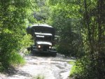 IMG_2334.jpg