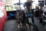 KLR650_01.jpg