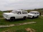 s3500024_990.jpg
