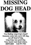missing_dog_head[1].jpg
