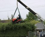 hedge trimmer.jpg