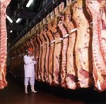 Donegal%20Meat%20Processor%20carcase%20chill.jpg