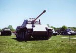 panther_430.jpg