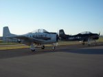 100_3884s.jpg