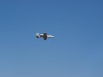 Little Rock Air Show 2010 259.jpg