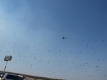 Little Rock Air Show 2010 403.jpg