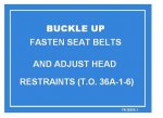 buckle_up_2_168.jpg