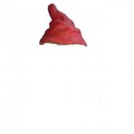 gnome hat.JPG
