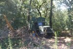 my_truck_hidden_among_trees_by_TheEpicKitty.jpg