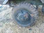 M35A2 recovery from Palm Bay Drainage Ditch 005 (Medium).jpg