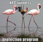 Witness Protection Program - KFC.jpg
