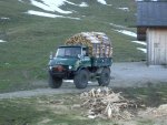 Unimog 406 loaded wood.jpg