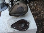 DSC01655.jpg