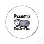 Possum%20Need%20Love%20Too.jpg