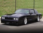 84monte.jpg
