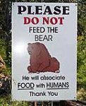 dont feed the bear.jpg