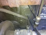 IMG_20110503_132839.jpg
