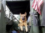 5 ton Duke 2.jpg