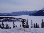 Whitehorse-Carcross6.jpg