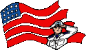 Flag Salute.gif