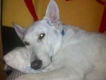 2011-06-16_12-52-20_729.jpg