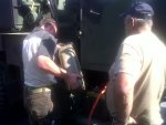 IMG00043-20110710-1627.jpg
