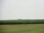 DSC00531.jpg