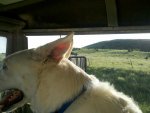2011-07-11_19-28-05_303.jpg