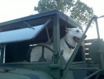 2011-07-11_21-02-18_295.jpg