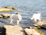 DSC00680.jpg