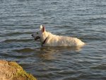 DSC00693.jpg