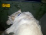 2011-07-11_21-16-35_21.jpg