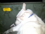 2011-07-11_21-40-46_453.jpg