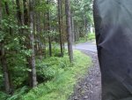 100_0628.jpg